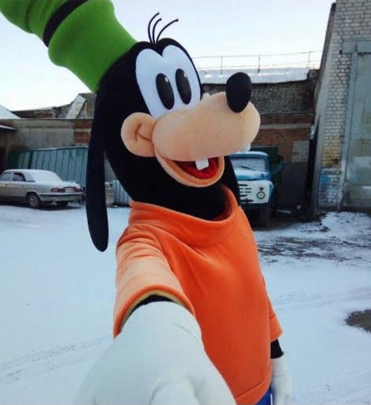 A selfie of a person in a Goofy costume.